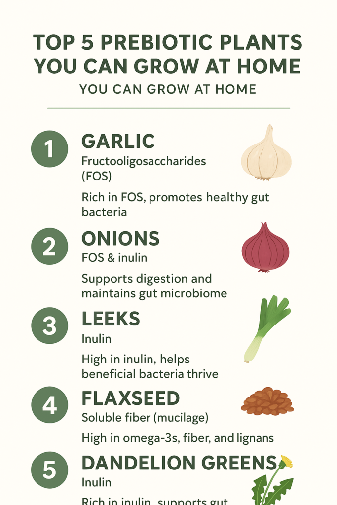 top 5 prebiotic plants to grow at home
